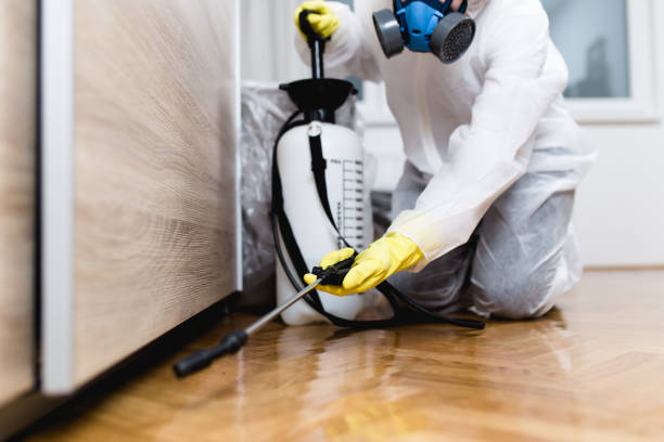 Best Termite Control Services  in New Canaan, CT