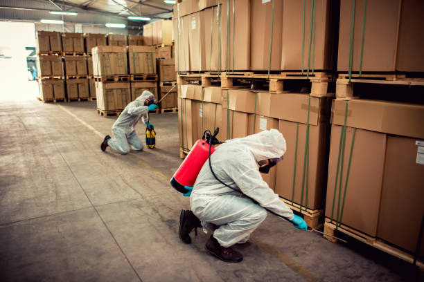Best Pest Control Near Me  in New Canaan, CT
