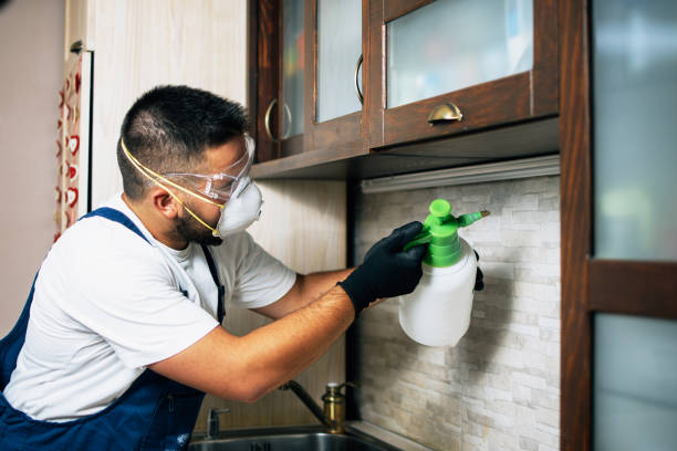 Best Local Pest Control Services  in New Canaan, CT