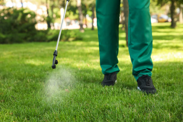 Flea Control Services in New Canaan, CT