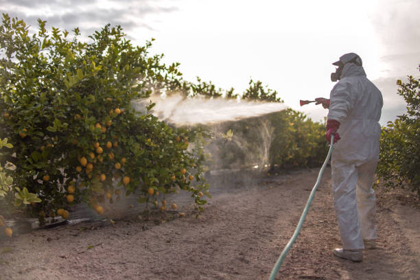 Pest Prevention Services in New Canaan, CT