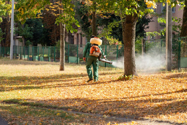 Best Pest Inspection Near Me  in New Canaan, CT