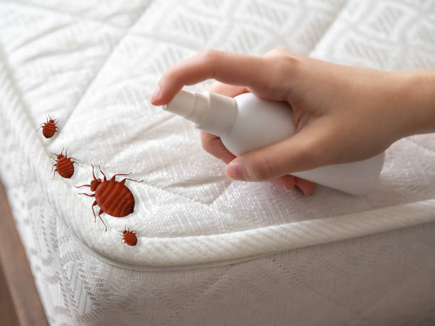 New Canaan, CT Pest Control Company