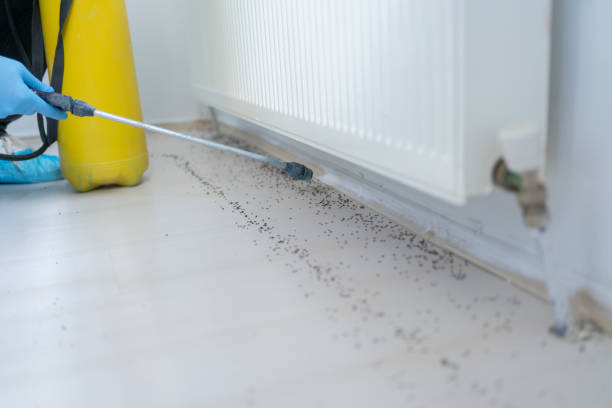 Best Affordable Pest Control Services  in New Canaan, CT