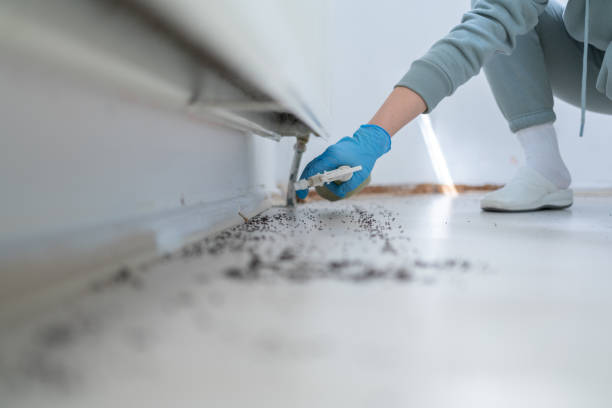 Best Residential Pest Control  in New Canaan, CT