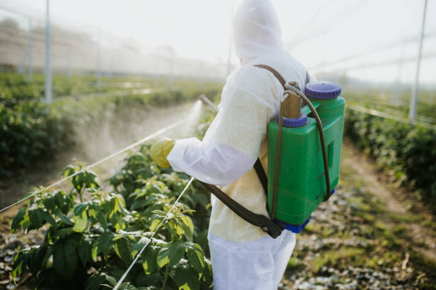 Best Pest Control Cost  in New Canaan, CT
